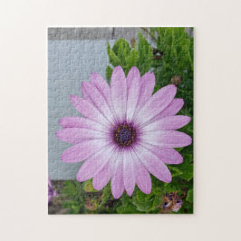 Got dir Zeit beim Blume-Puzzle Puzzle