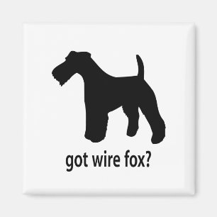 Got DrahtFox Magnet