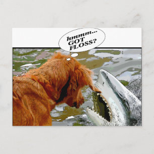 GOT FLOSS? HUND IN SCHARKS MUND - SPASS POSTKARTE