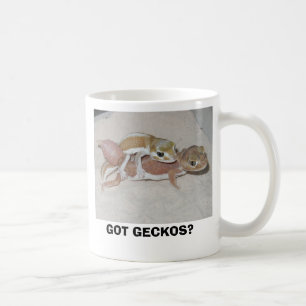 GOT GECKOS? KAFFEETASSE