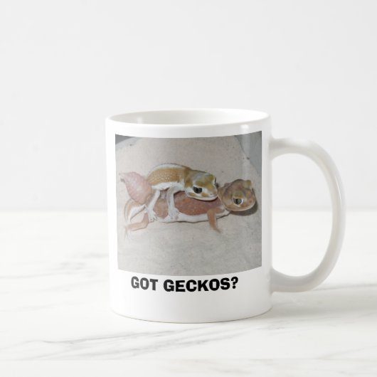 GOT GECKOS? KAFFEETASSE (Rechts)