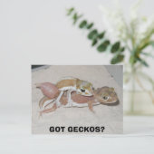 GOT GECKOS? POSTKARTE (Stehend Vorderseite)