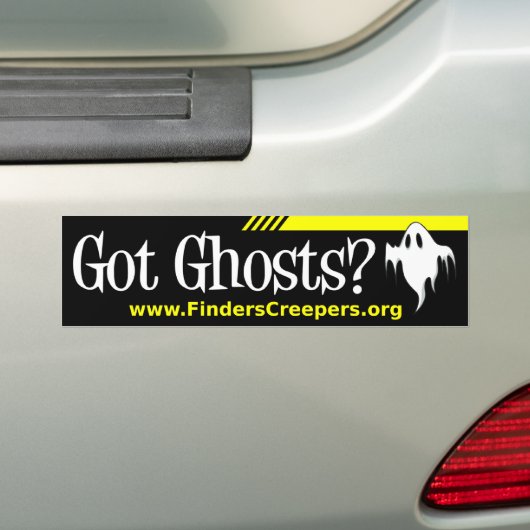 Got Geister? Autoaufkleber (Auf Auto)