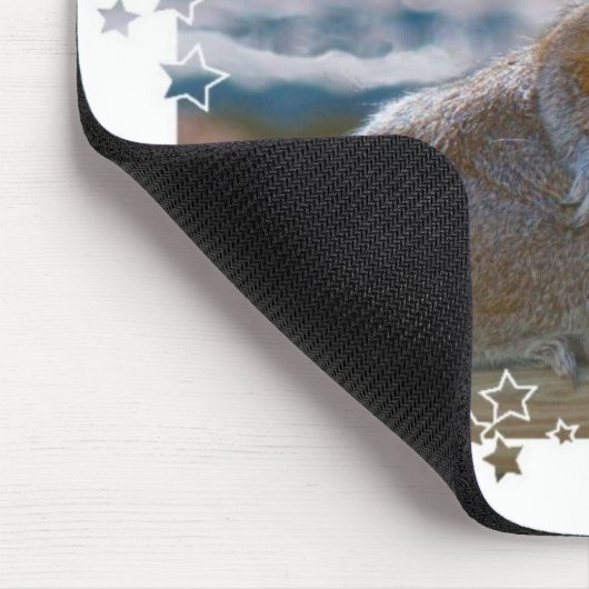 Got Haltung? Eichhörnchen Mousepad (Ecke)