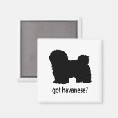 Got Havanese Magnet (Vorderseite/Rückseite)