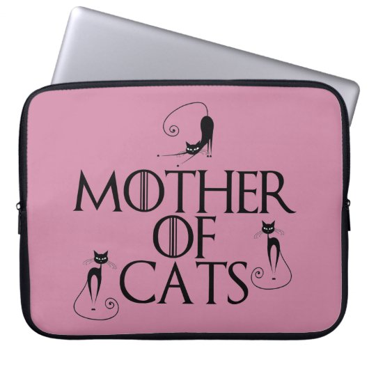 GOT inspirierte Schoss-Spitzen-Hülse Laptopschutzhülle (Vorderseite)