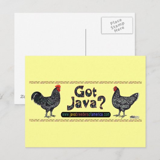 Got Java? Postkarte (Vorne/Hinten)
