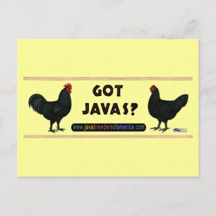 Got Javas? Postkarte