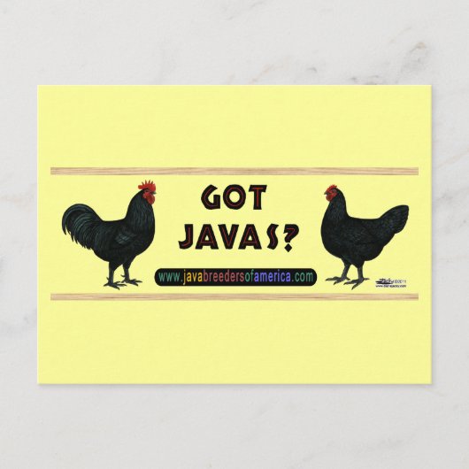 Got Javas? Postkarte (Vorderseite)