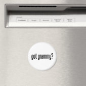 got magnet (In Situ (Geschirrspüler))