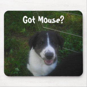 Got Maus? Mousepad
