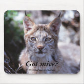 Got Mäuse? , Mousepad (Vorne)