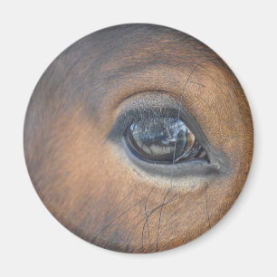Got mein Auge auf Ihnen Magnet