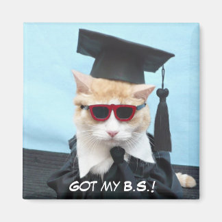 Got meine B.S.! Magnet