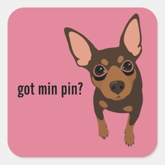 Got Min Button Miniature Pinscher (Schokolade) Auf Quadratischer Aufkleber (Vorderseite)