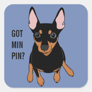 Got Min Button? Miniature Pinscher (Schwarz) Stick Quadratischer Aufkleber