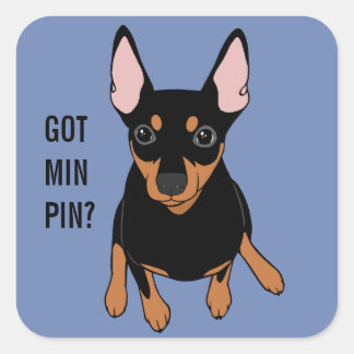 Got Min Button? Miniature Pinscher (Schwarz) Stick Quadratischer Aufkleber
