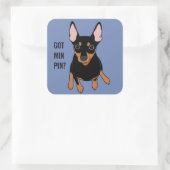 Got Min Button? Miniature Pinscher (Schwarz) Stick Quadratischer Aufkleber (Tasche)