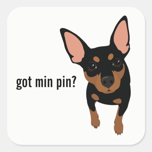 Got Min Button? Miniature Pinscher (Schwarz) Stick Quadratischer Aufkleber (Vorderseite)