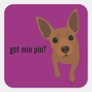 Got minimales Button? Zwergpinscher-(roter) Quadratischer Aufkleber