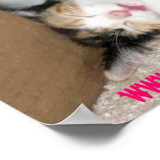 Got? NIEDLICH KITTEN POSTER (Ecke)