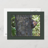 Got Nuts?? Postkarte (Vorne/Hinten)