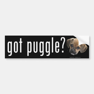 Got Puggle Autoaufkleber