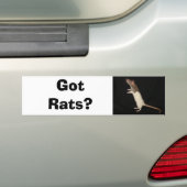 Got Ratten? , Got Ratten? Autoaufkleber (Auf Auto)