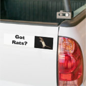 Got Ratten? , Got Ratten? Autoaufkleber (Auf Lkw)