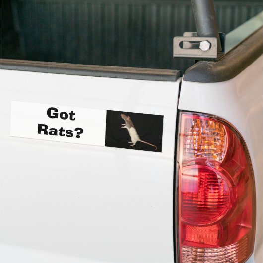 Got Ratten? , Got Ratten? Autoaufkleber (Auf Lkw)