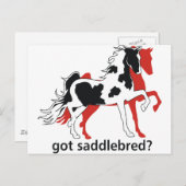 Got Saddlebred? Postkarte (Vorne/Hinten)