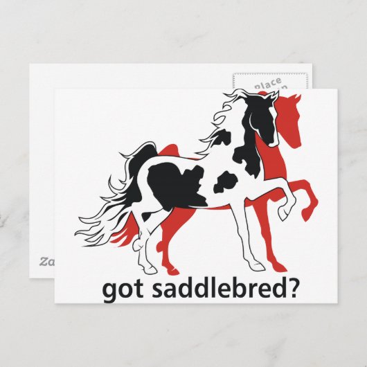 Got Saddlebred? Postkarte (Vorne/Hinten)