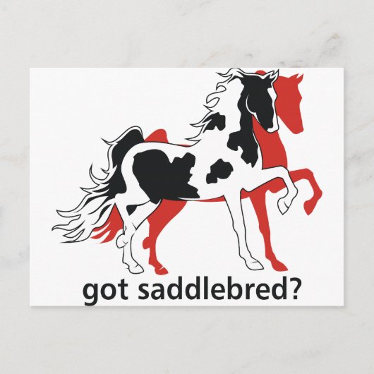 Got Saddlebred? Postkarte (Vorderseite)