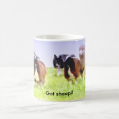 Got Schafe? Border Collie Tasse (Mittel)