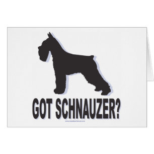 Got Schnauzer?