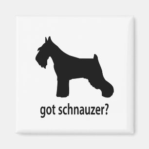 Got Schnauzer Magnet