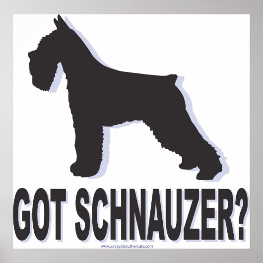 got schnauzer poster (Vorne)