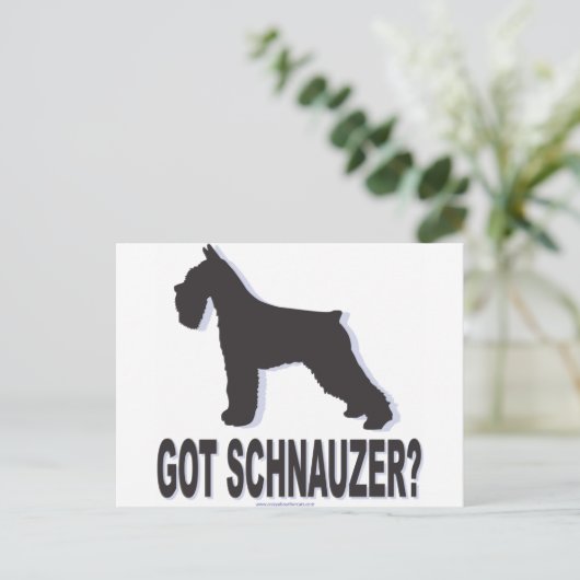 Got Schnauzer? Postkarte (Stehend Vorderseite)