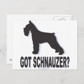 Got Schnauzer? Postkarte (Vorne/Hinten)