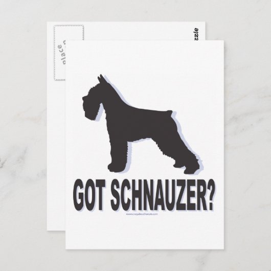 Got Schnauzer? Postkarte (Vorne/Hinten)