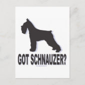 Got Schnauzer? Postkarte (Vorderseite)