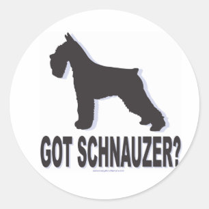 Got Schnauzer? Runder Aufkleber