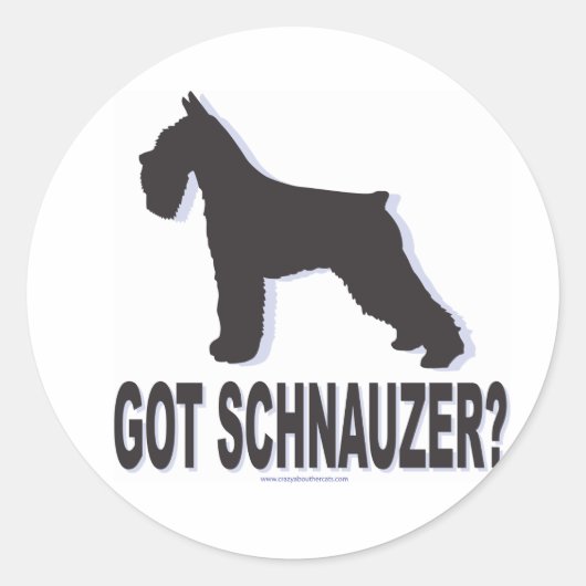 Got Schnauzer? Runder Aufkleber (Vorderseite)