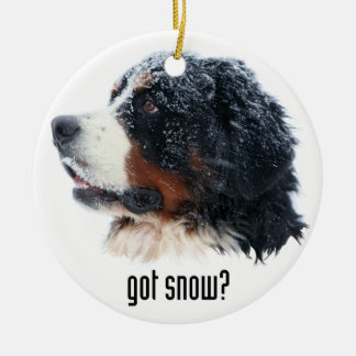 got Schnee? Bernese Gebirgshund Keramik Ornament