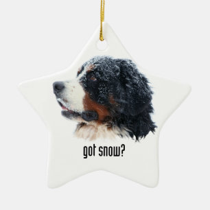 got Schnee? Bernese Gebirgshund Keramikornament