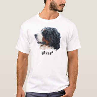 got Schnee? Bernese Gebirgshund T-Shirt