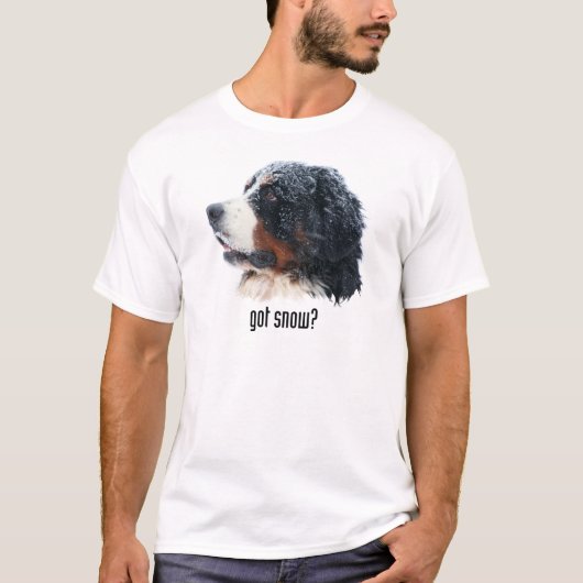 got Schnee? Bernese Gebirgshund T-Shirt (Vorderseite)
