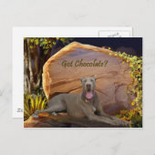 Got Schokolade? Postkarte (Vorne/Hinten)