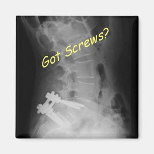 got Schrauben Magnet