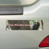 Got Spechte? Autoaufkleber (Auf Auto)